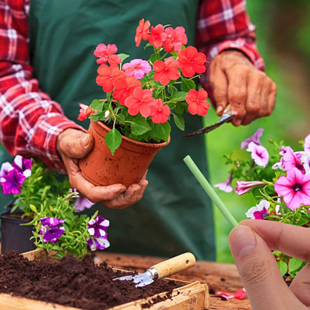 Plant Nutrition Bars Nitrogen Phosphorus Potassium for Healthy Growth of Plant