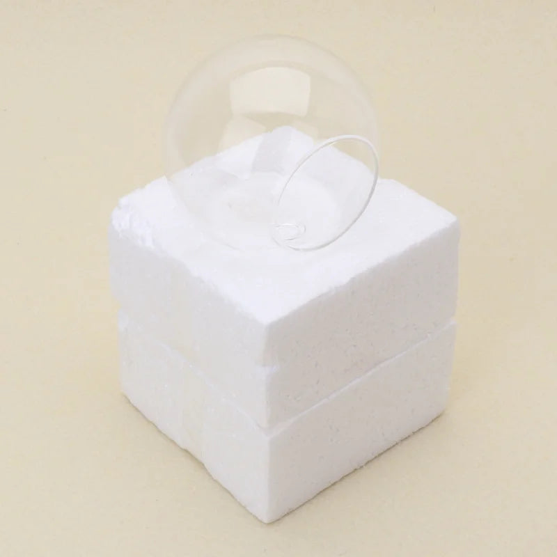 Transparent Glass Vase Wall Hanging Hydroponic Terrarium Fish Tanks Potted Plant