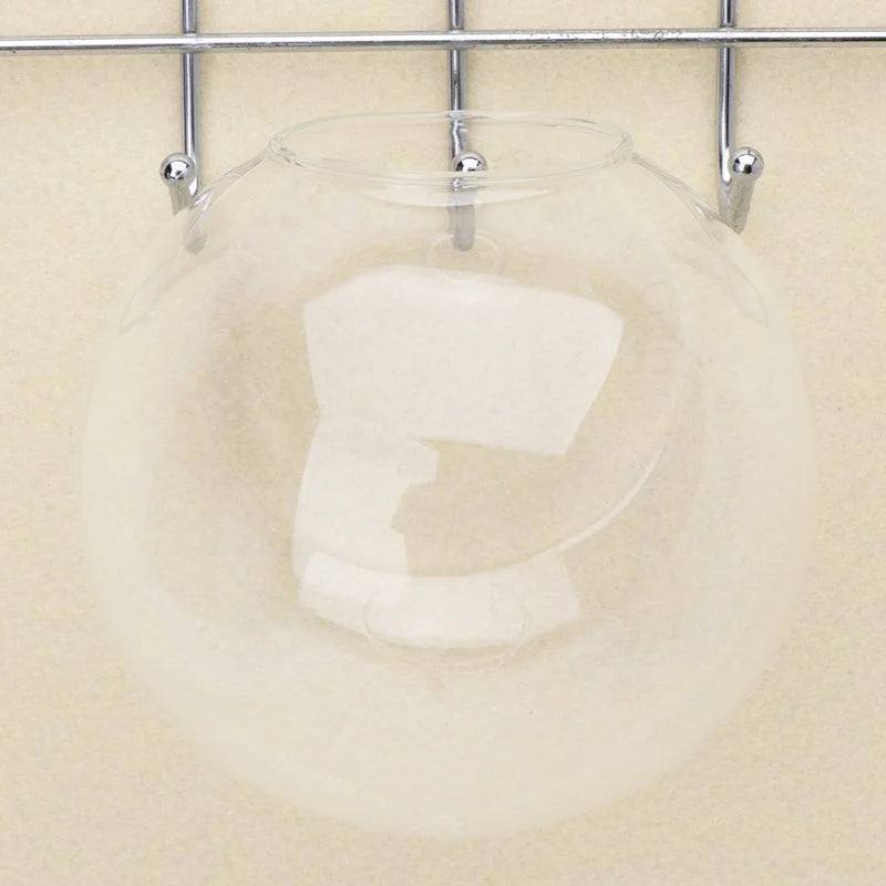 Transparent Glass Vase Wall Hanging Hydroponic Terrarium Fish Tanks Potted Plant