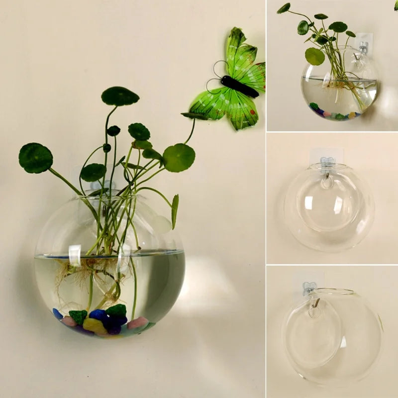 Transparent Glass Vase Wall Hanging Hydroponic Terrarium Fish Tanks Potted Plant