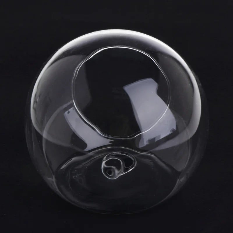 Transparent Glass Vase Wall Hanging Hydroponic Terrarium Fish Tanks Potted Plant