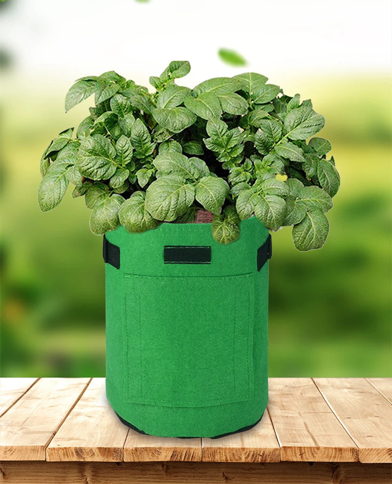3 Size Felt plant grow bags nonwoven fabric garden potato pot greenhouse